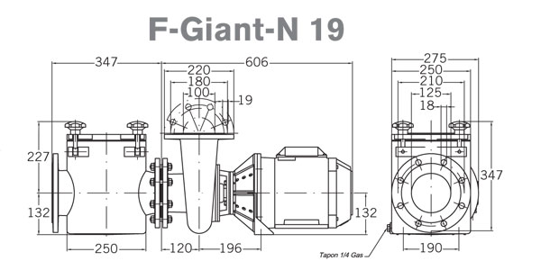      PSH F-Giant-N 19